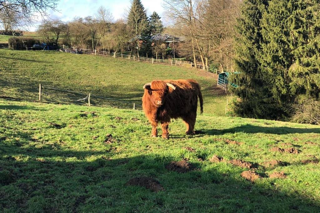 Ferienwohnung Und Monteurwohnung Matthies Naehe Koeln 30Km Kürten Extérieur photo